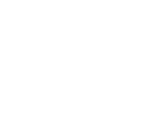 DİVA